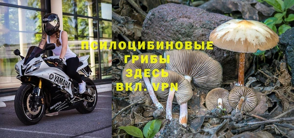 каннабис Белокуриха